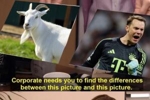 GOAT!拜仁官推晒梗图:诺伊尔=山羊🐐