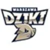 华斯基